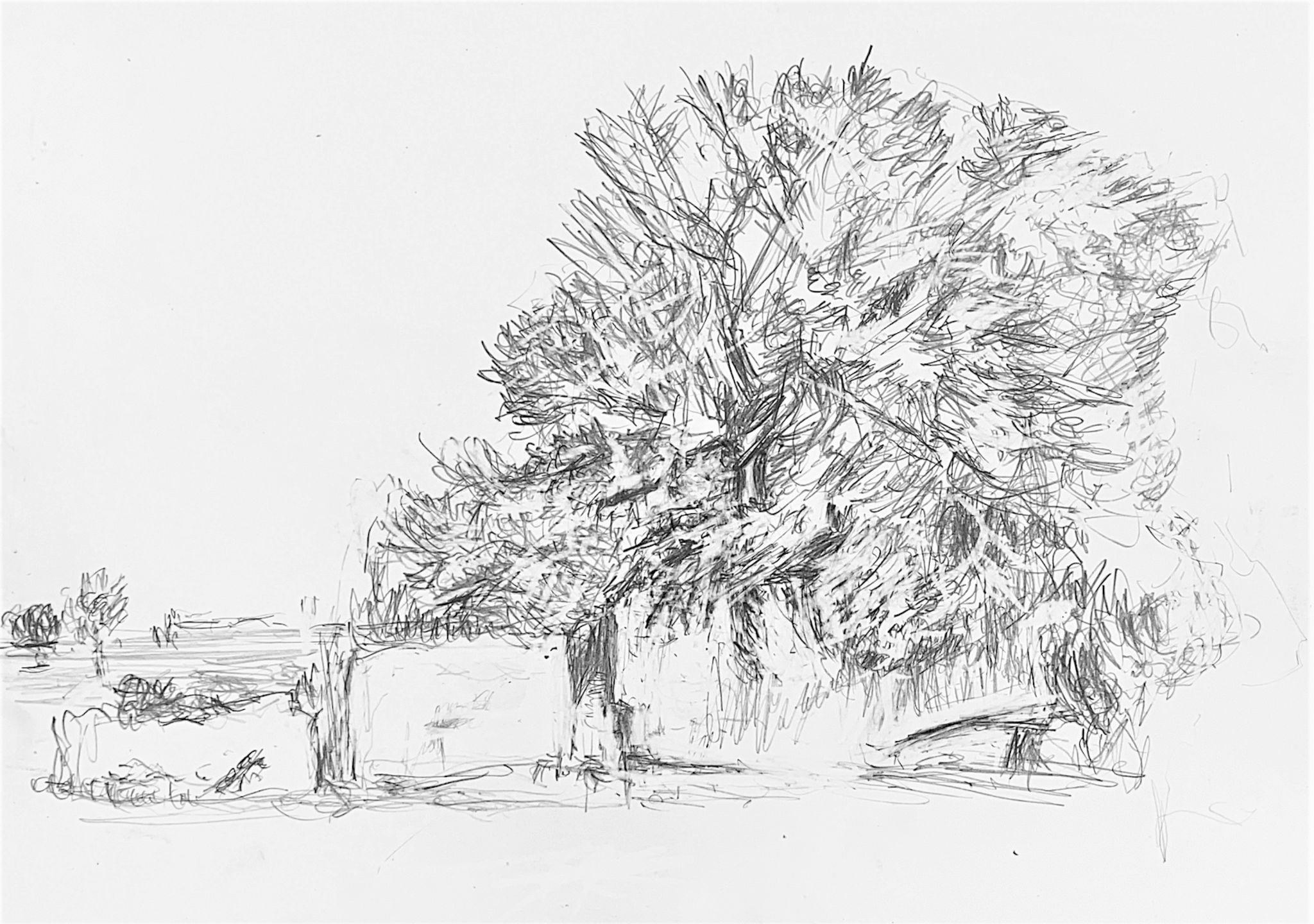 Cave di Cusa - Selinunte - Sicilia